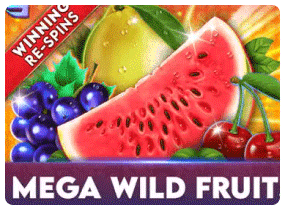 1winsbd-mega-wild-fruit